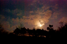 20120306 192523.jpg